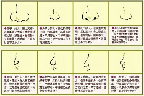 富鼻|鼻子看相:五种富贵鼻 鼻子看相:五种富贵鼻女人